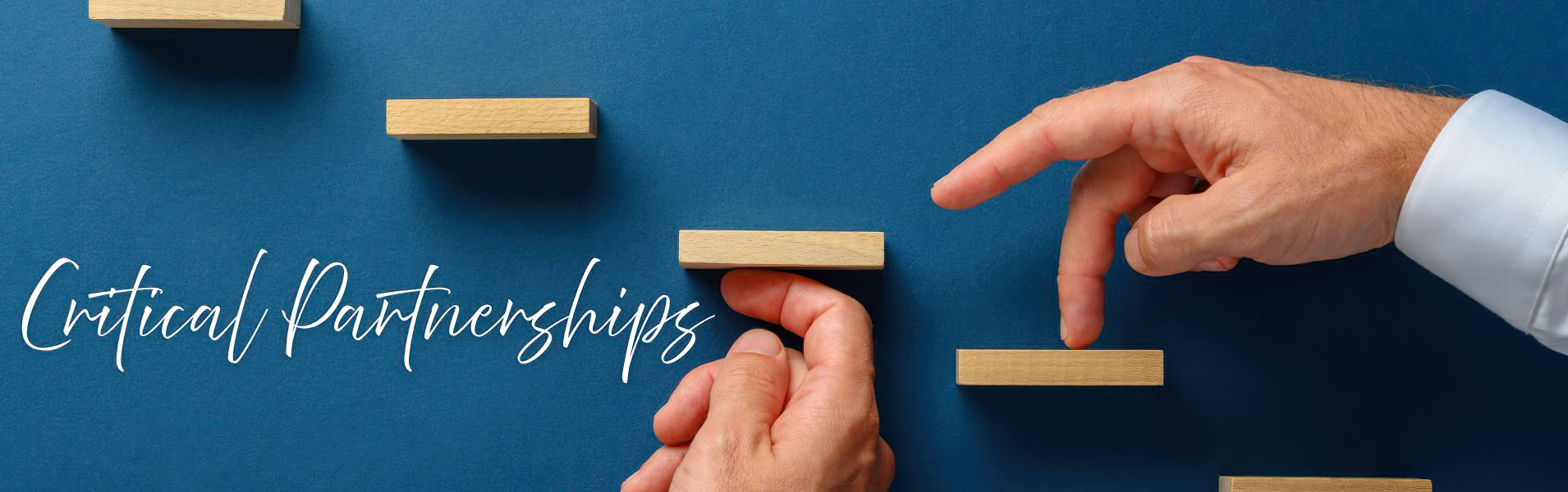 Critical Partnerships